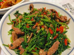 香菜炒牛肉-壹盏灯(惠农店)