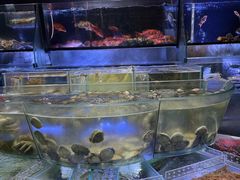 -金翠皇宫粤菜·点心·海鲜(翡翠店)