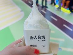 -野人先生现做冰淇淋(北京悠唐购物中心店)
