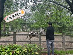 -贵州森林野生动物园