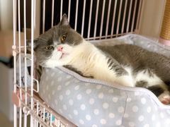 -康成宠物医院24H·CT·核磁共振