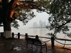-江心屿景区