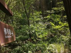 -大岭沟猕猴桃谷风景区