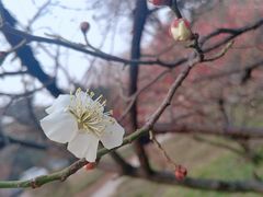 -山东大学(趵突泉校区)