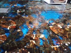 -盒马鲜生(馥邦国际店)