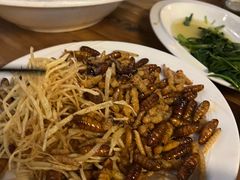 -缘生态云南菜·野生菌庭院餐厅(华侨城店)