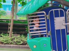 -南宫五洲植物乐园