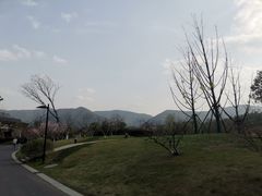 -雅达·阳羡溪山小镇中心