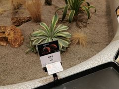 -OUR Bakery(SKP-S店)