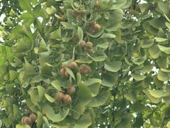 -金堂县云顶石城风景区