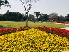 -二沙岛艺术公园
