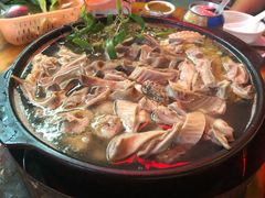 石橄榄汤-鸡弟鸡煲火锅