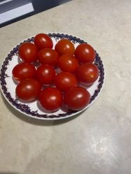 -海茱雅科技健康美容