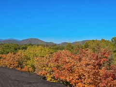 -龙湖星悦荟(颐和店)