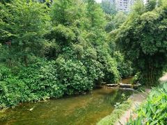 -重庆彩云湖湿地公园