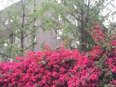 -四川大学(华西校区)