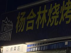 -杨合林啊兰烤鱼