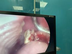 -爱诺耐芙动物医院(万博店)