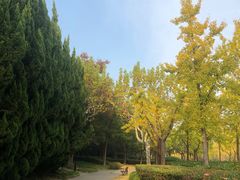 -黄兴公园