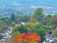 -塔川景区