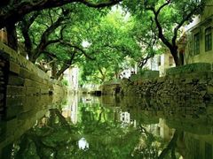 -小洲村