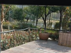 -九鼎轩脆毛肚火锅(商业街店)