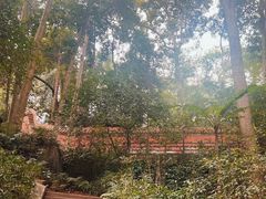 -都江堰普照寺