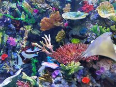 -成都浩海立方海洋公园