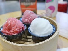 接骨木雪芭-歎雪糕低糖低脂Gelato冰淇淋