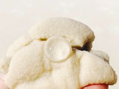 -悉尼鱼市场