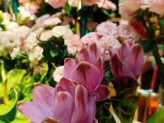 -BoBloom花店(晶耀前滩店)