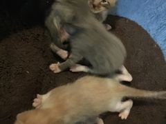 -赢吧Bliss音乐酒吧