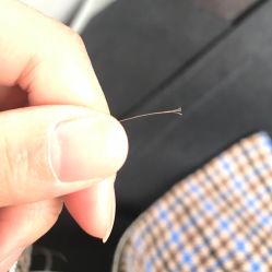 -尚·丹尼Hair