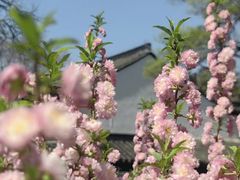 -南京市民俗博物馆(甘熙故居)