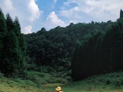 -武陵山森林公园