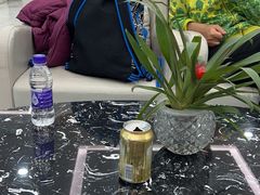 -桃仙机场头等舱休息室