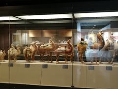 -西安大唐西市博物馆