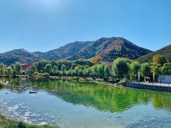 -芦芽山旅游度假区