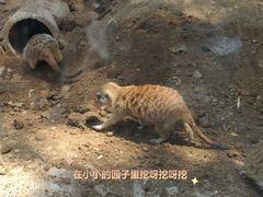 -秦皇岛野生动物园