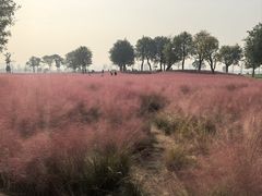 -汉长安城未央宫国家考古遗址公园