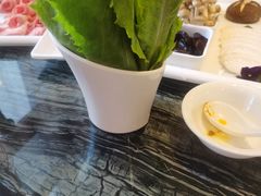 -大渔小鲜火锅店