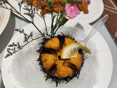 -日月昇渔家菜·海肠捞饭·大连海鲜(星海公园店)