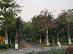 -映月湖公园