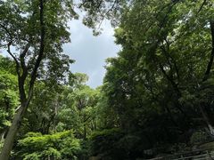 -临平公园(临平街道)