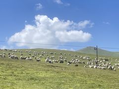 -新疆那拉提国家旅游度假区
