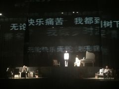 -合肥大剧院