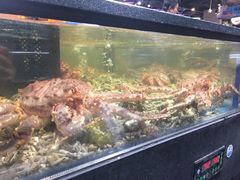 -盒马鲜生(曜一城店)