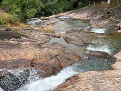 -广州白江湖森林公园