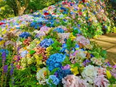 -上海共青森林公园