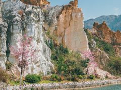 -彩色沙林风景区